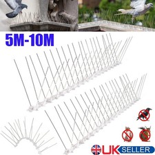 Bird fence spikes for pigeon - bird,