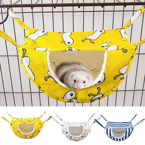 Guinea pig hammock ferret - pig,