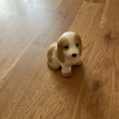 Szeiler small puppy - , dog