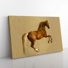 Whistlejacket By George Stubbs