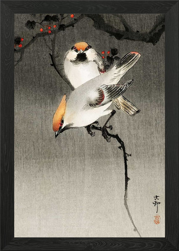 Bohemian waxwing framed - framed, wall