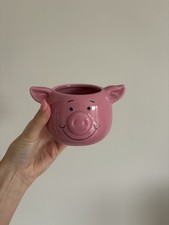 M&S Percy Pig Succulent 3D