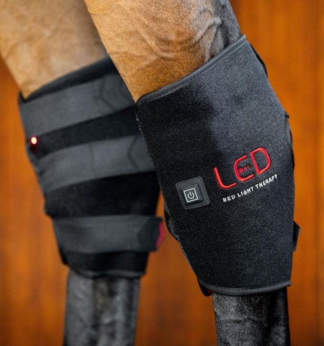 Horseware led red light - led,