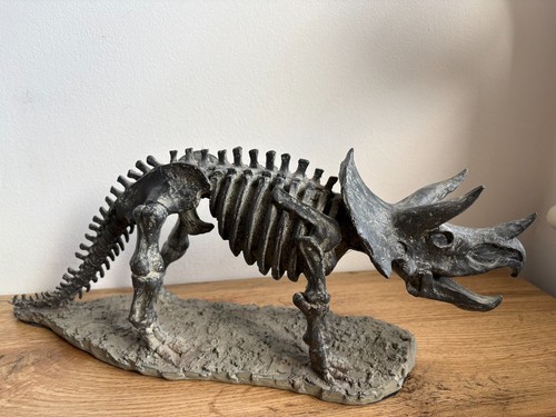 Tricertops dinosaur skeleton - tricertops,