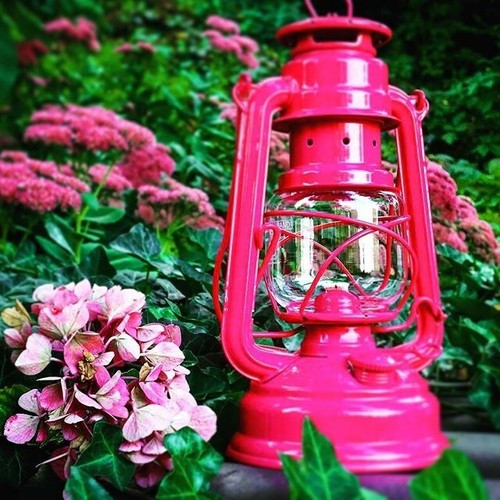 Telemagenta feuerhand - telemagenta,