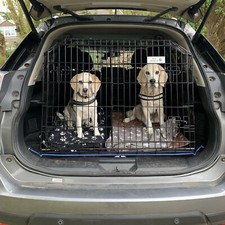 PET WORLD NISSAN | X-Trail