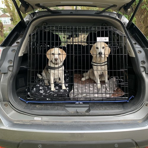Pet world nissan - pet, x-trail