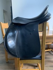17” Collegiate Convertible