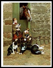 BORDER COLLIE PUPS BOYS HORSE