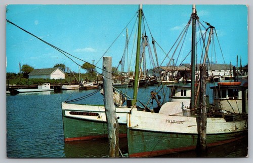 Postcard ocean city - ocean, md