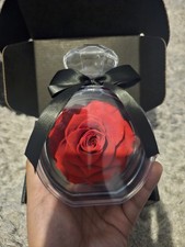 Red Rose Encapsulated In