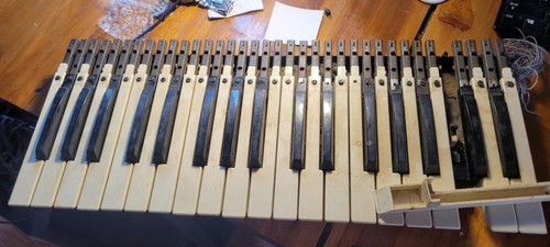 Mini moog replacement keys - moog, d