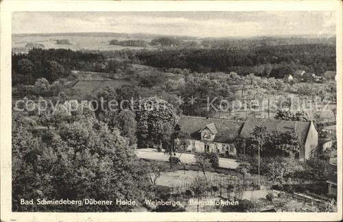 Bad schmiedeberg vineyards - schmiedeberg,