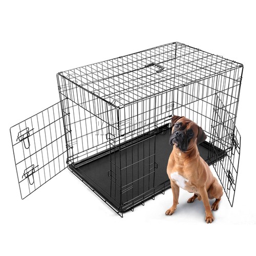 Inch pet dog puppy - inch,