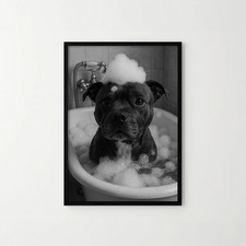 Staffy Dog In Bath Funny