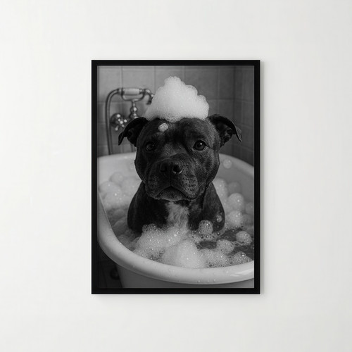 Staffy dog bath - staffy,