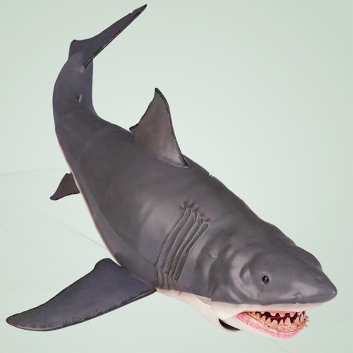 Inch great white - great, shark
