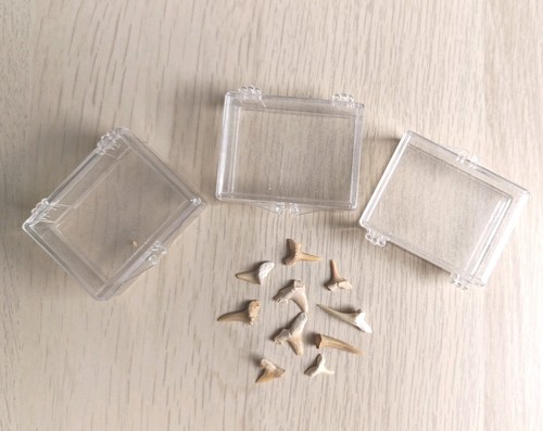 Mixed bundle shark teeth - mixed,