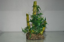 Vivarium Detailed Bamboo Root