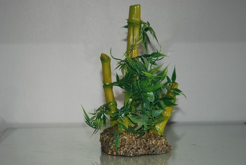Vivarium detailed bamboo - vivarium,