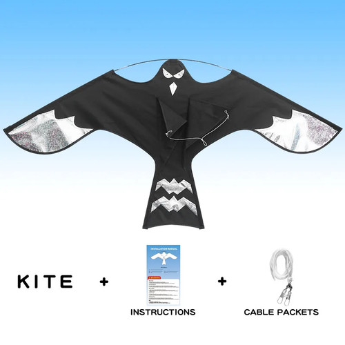 Eagle kite for - eagle,
