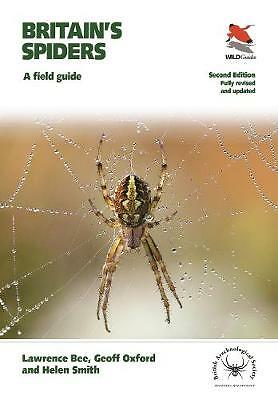 Britain spiders a field - britain's,