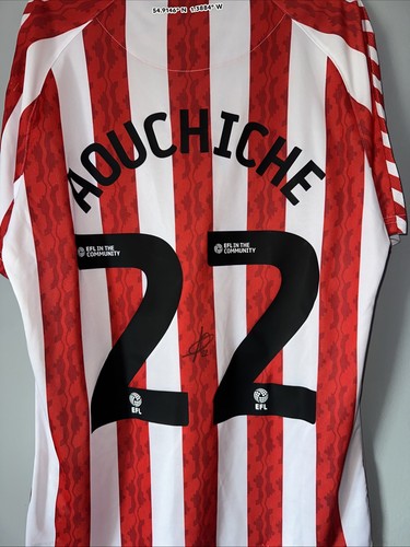 Sunderland afc football - sunderland,