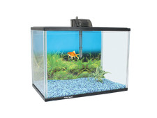 Aqua One Glass 28L Aquarium