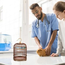 Wooden Bird Cage Decor Parrot