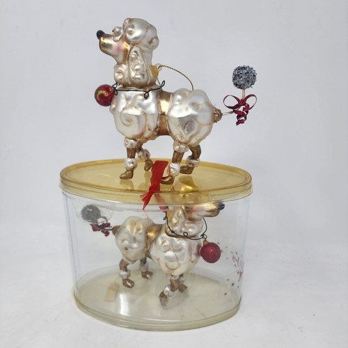 Lot french poodle - 2,