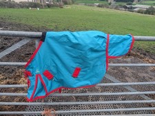 Mini Shetland Waterproof Turnout Rug 100g 