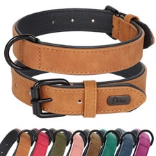Soft Leather Padded Dog Collar