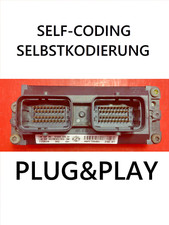 Plug & Play / VIRGIN FIAT