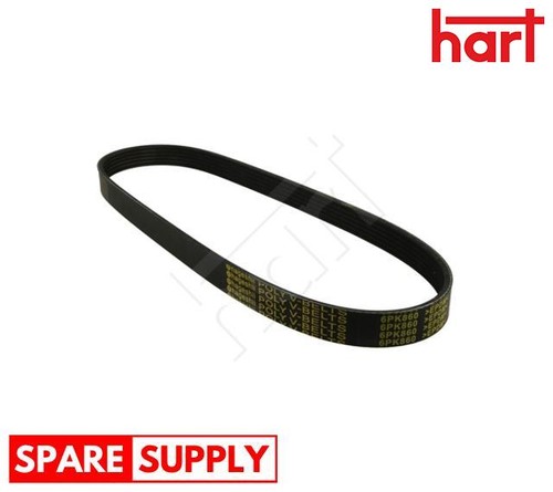 Ribbed belt for skoda fabia - v-ribbed,
