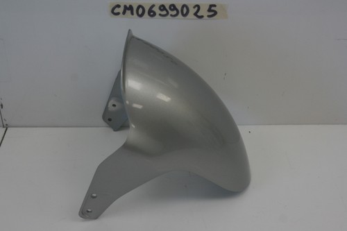 Front fender piaggio - fender,