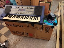 Roland eg101