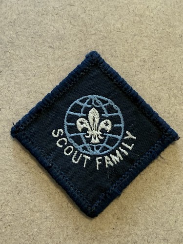 Boy scout family - scout, award