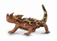 Thorny Dragon Lizard Reptile
