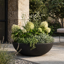 60cm Black Shallow Bowl