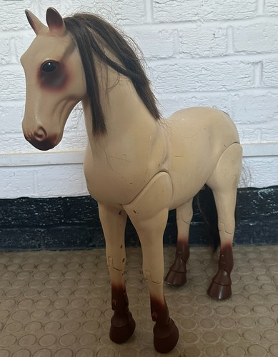 Our generation morgan horse - morgan,