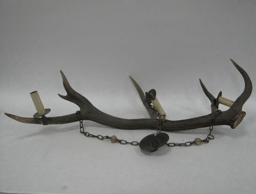 Stag antler light - antler, a