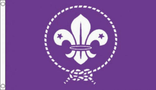 Scouts flag 3 purple - scouts, 5'