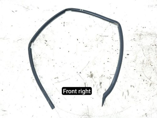 Door seal aston - door, martin