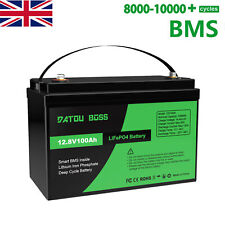 12V 100AH Lithium Battery Rechargeable LiFePO4 BMS Deep Cycle Solar Panel RV