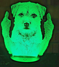 Border Terrier middle finger
