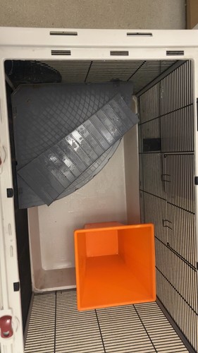Rat cage - rat,
