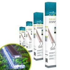 Tropical cold water aquarium - tropical,