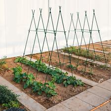 Plant Support Garden Vegetable