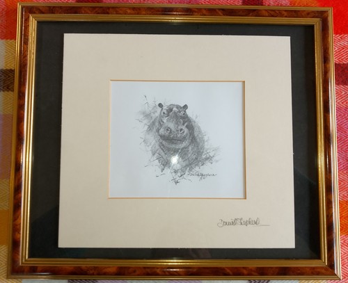 David shepherd signed - shepherd,
