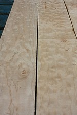 QUILTED OREGON BIG LEAF MAPLE